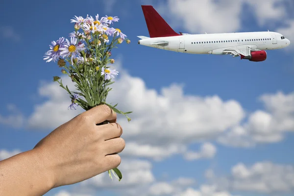 Uçak ve çiçek — Stok fotoğraf