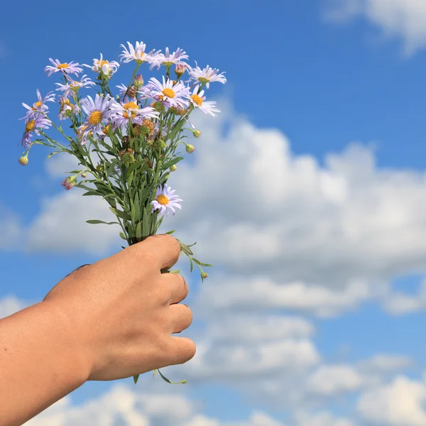 Virág a kézben — Stock Fotó