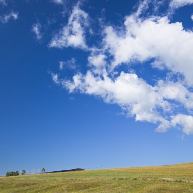 Wheaten field clipart