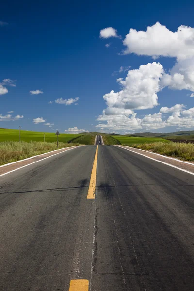 The road of the meadow. — Stock Photo, Image