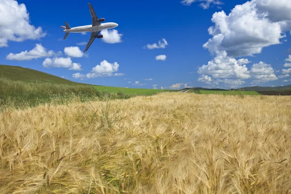 Flygplan och vete fält — Stockfoto