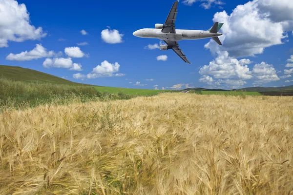 stock image Airplane and wheat field