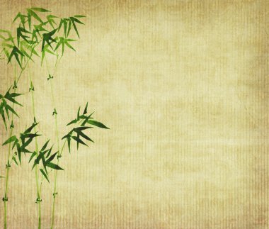 Bamboo on old grunge antique paper texture clipart