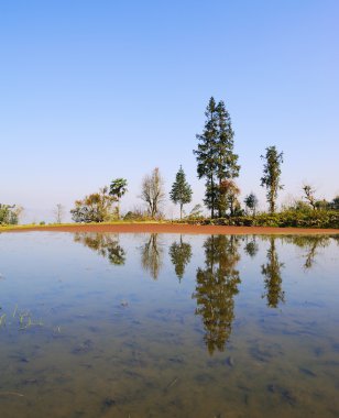 pirinç terasları yuanyang yunnan, Çin'in