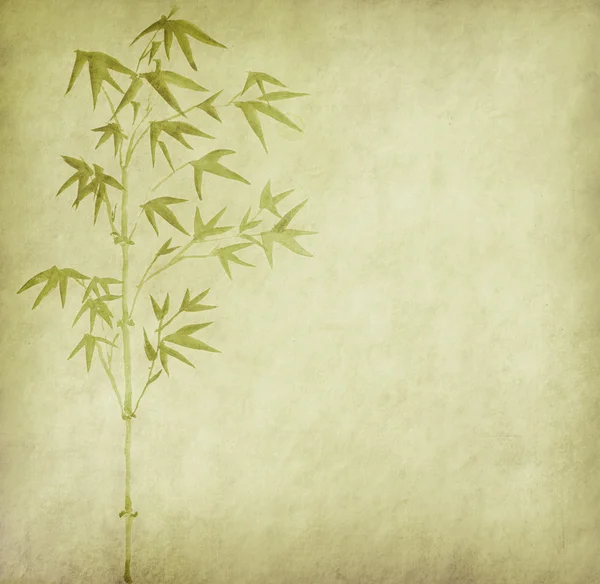 Design av kinesisk bambu träd med textur av handgjort papper — Stockfoto