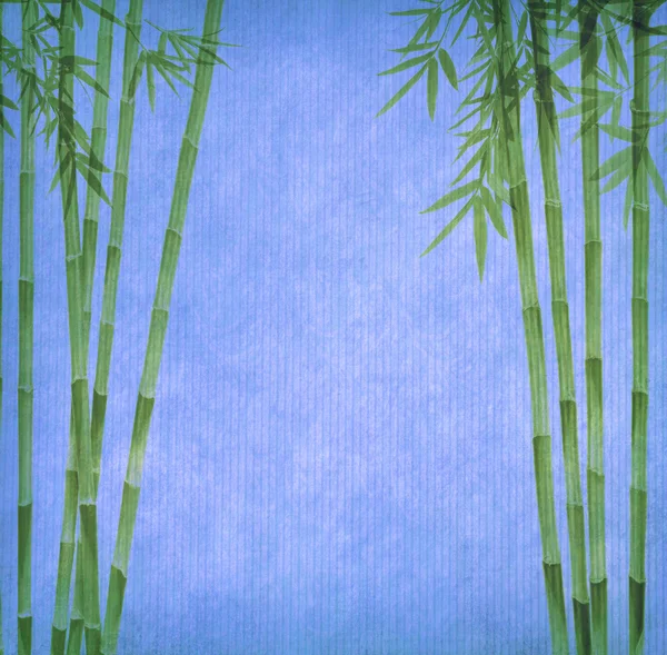 Bambus na staré starožitné papírové textuře — Stock fotografie