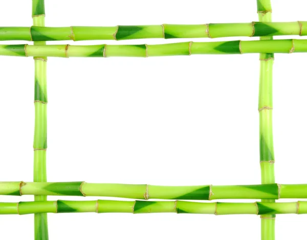 Bâtons de bambou sur fond blanc — Photo