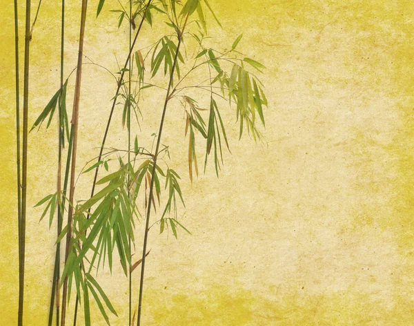 Bambú en la textura de papel antiguo grunge viejo —  Fotos de Stock