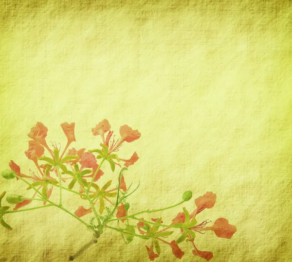 Παγώνι λουλούδια σε δέντρο με παλιά παλαιά εκλεκτής ποιότητας χαρτί υπόβαθρο — Φωτογραφία Αρχείου