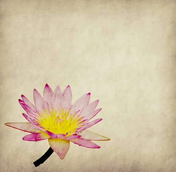 Lotus з набір абстрактним фоном пофарбовані — стокове фото