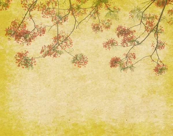 古いアンティーク ヴィンテージ紙の背景を持つツリー上に孔雀花 — ストック写真
