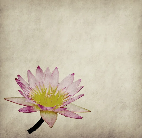 Lotus with set of abstract painted background — Stock Photo, Image