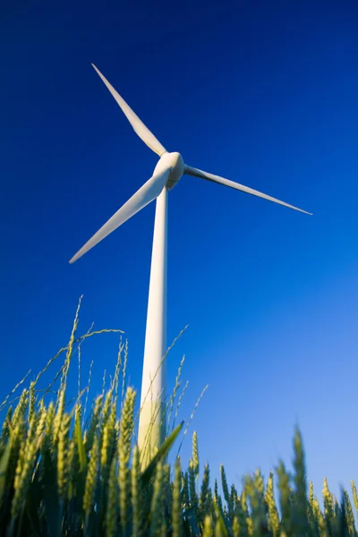 Molino de viento y cultivos —  Fotos de Stock