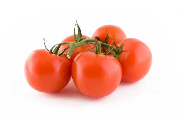 Tomatenbüschel — Stockfoto