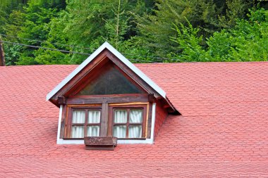 Window on roof clipart