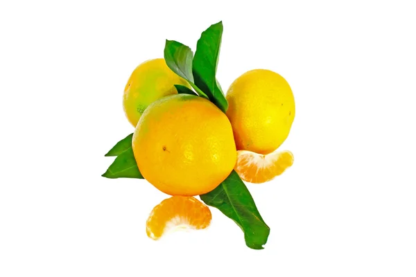 Tři zralé mandarinka — Stock fotografie