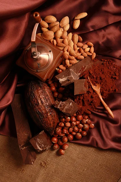 巧克力和坚果 免版税图库照片