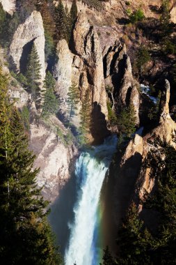 Yellowstone'da şelale