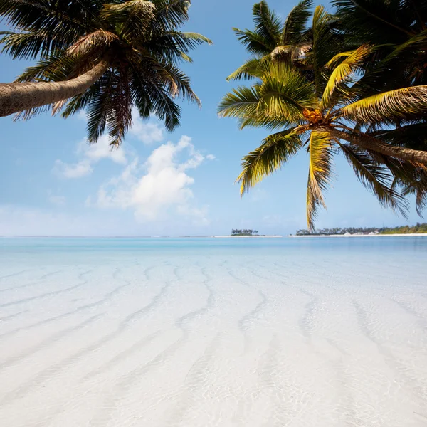 Maldives — Stock Photo, Image