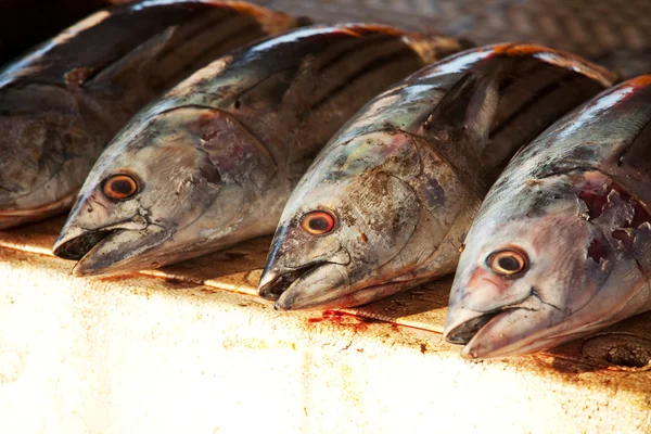 Mercado de pescado — Foto de Stock