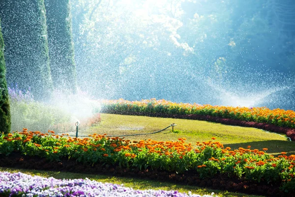 stock image In garden