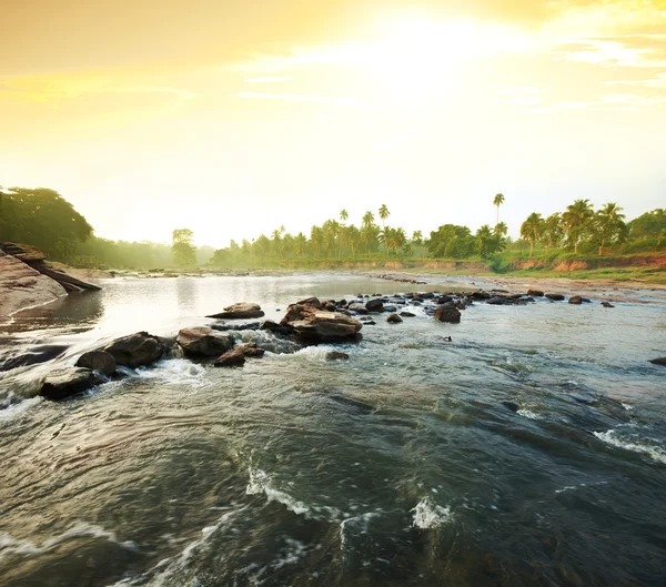 Tropische rivier — Stockfoto