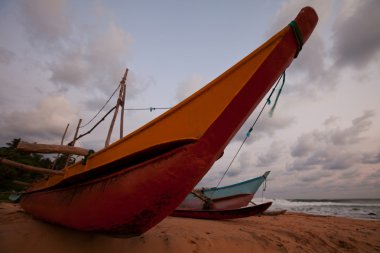 Sri Lanka 'da tekne