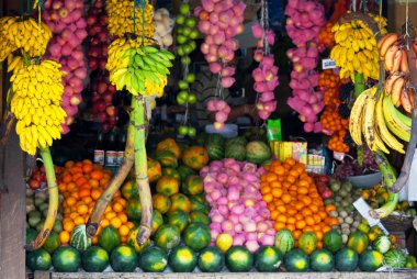 Fruit market clipart