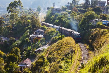 Railroad on Sri Lanka clipart