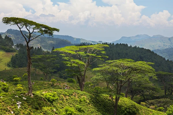 stock image Sri Lanka landscapes