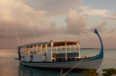 maldives teknesi