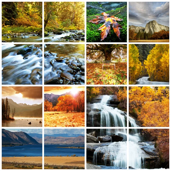 stock image Autumn