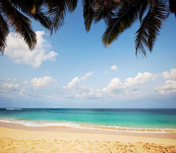 stock image Beach.