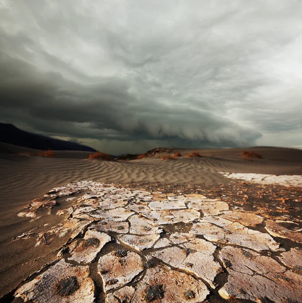 stock image Drought