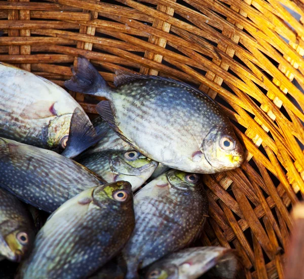 Рибний ринок — стокове фото