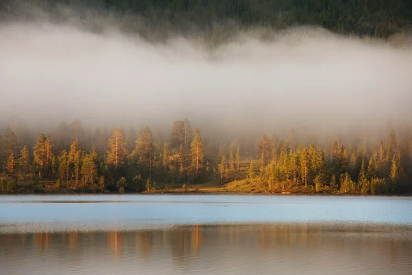 Туман на озері — стокове фото