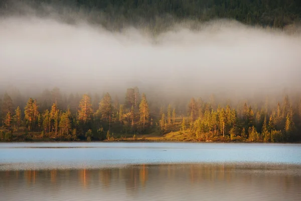 stock image Fog on lake