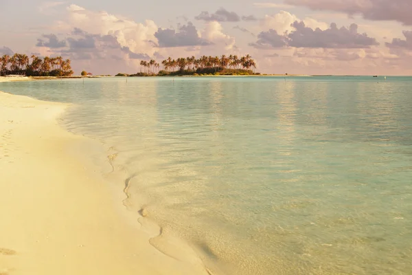 Maldive — Foto Stock