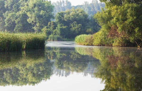 stock image Summer river