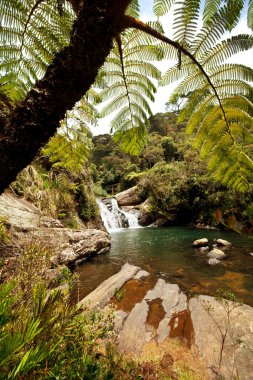 Waterfall in Sri Lanka clipart