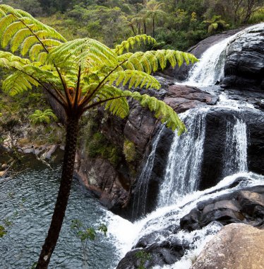 Waterfall on Sri Lanka clipart