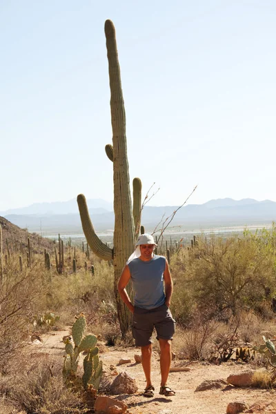 stock image Cactus park