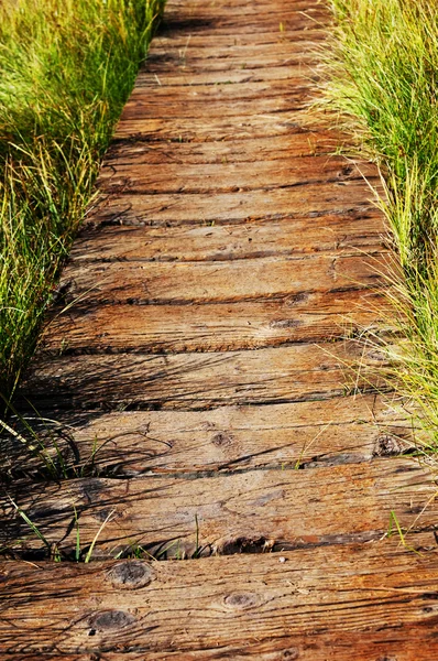 stock image Boardwalk