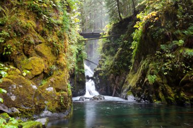 Sol Duc