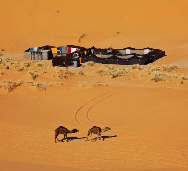 Stock image Camp in desert