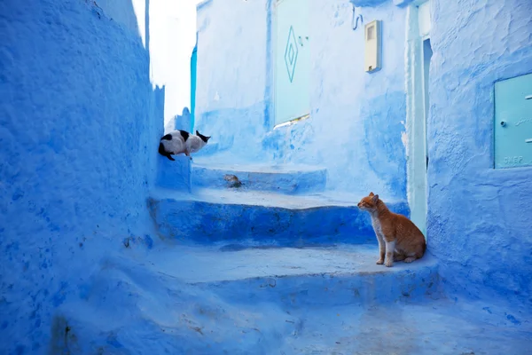 モロッコの都市 — ストック写真