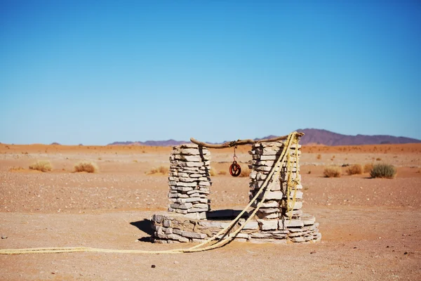 Άνοιξη στην έρημο — Φωτογραφία Αρχείου