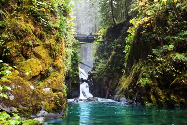 Sol Duc