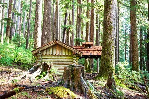 森を小屋します。 — ストック写真