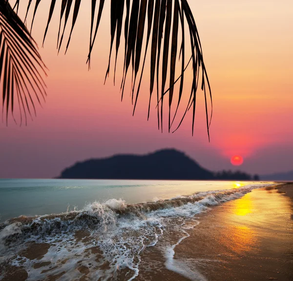 Praia tropical — Fotografia de Stock